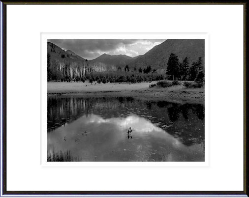 Lockett Meadow