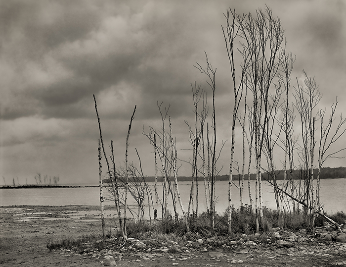 Tree Island, Gislason Beach, Washington Island, Wisconsin